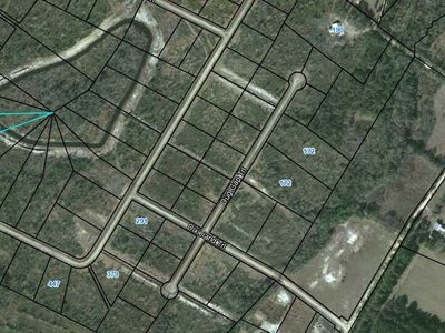 91 Picketts Mill Trl, Waynesville, GA, 31566