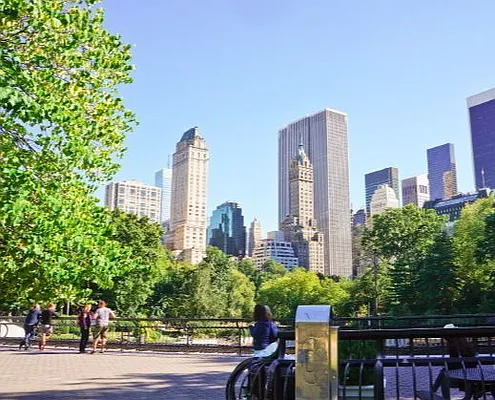 Rented by Evergreen Realty & Investments | media 29