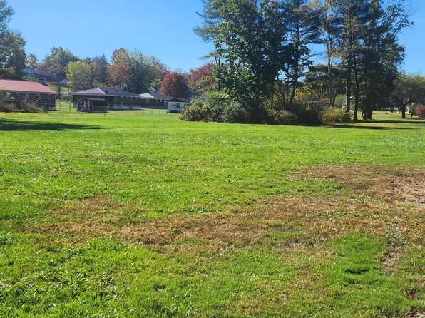 45 Ash St, Craigsville, WV 26205