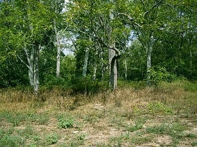 4th image of 445 Chrisman Oaks Trl