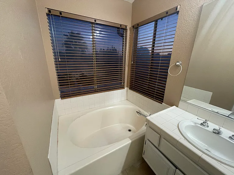 Master Bathroom Soaking Tub