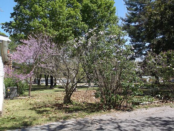 Front Side View of Yard