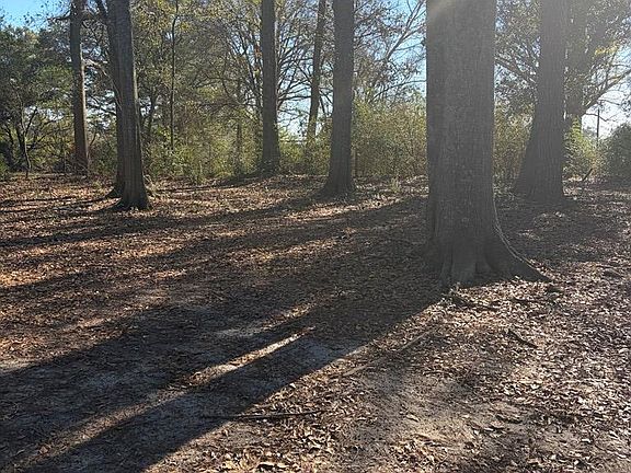 5th image of 3772 County Road 11