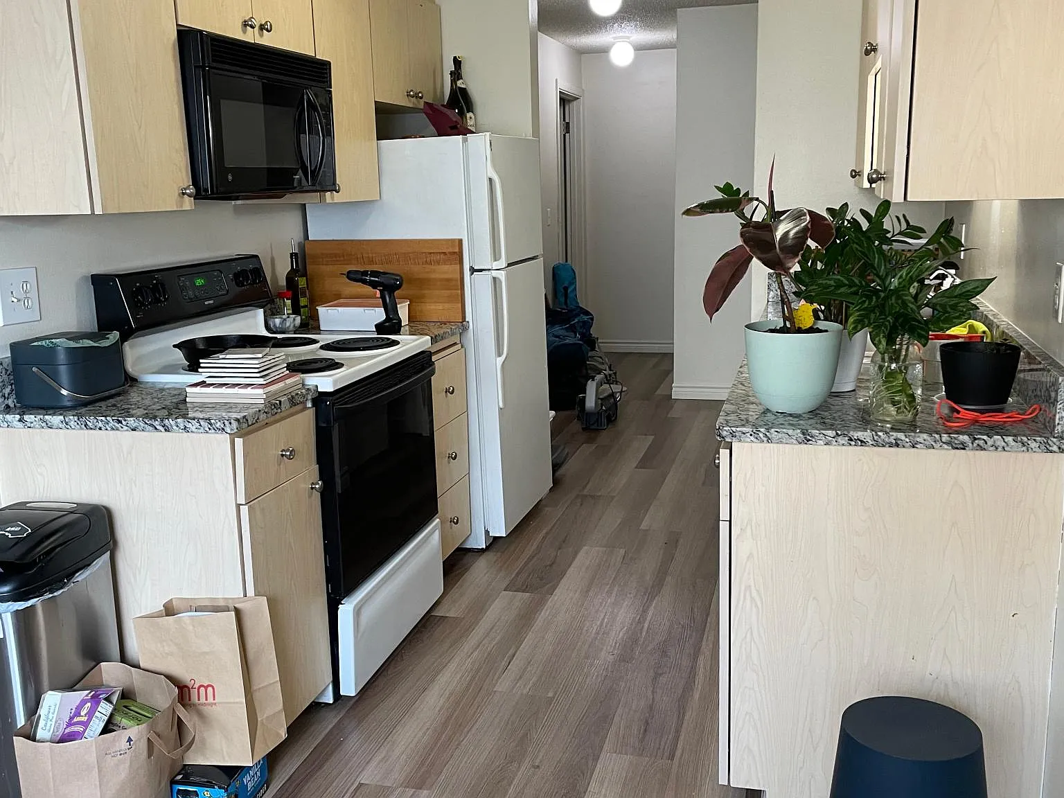 2 bed, 1000 sqft, $2,775 — Photo 2