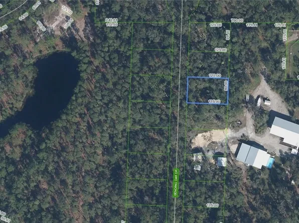 10234 Bending Oak Dr, Sebring, FL 33875