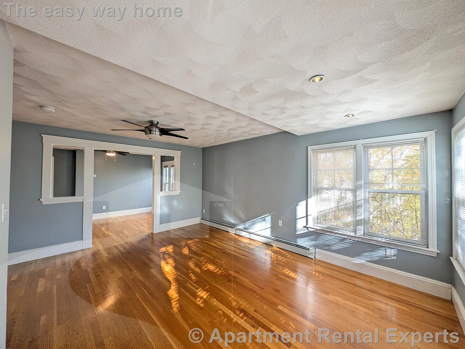 1 bed, $3,000 — Photo 4