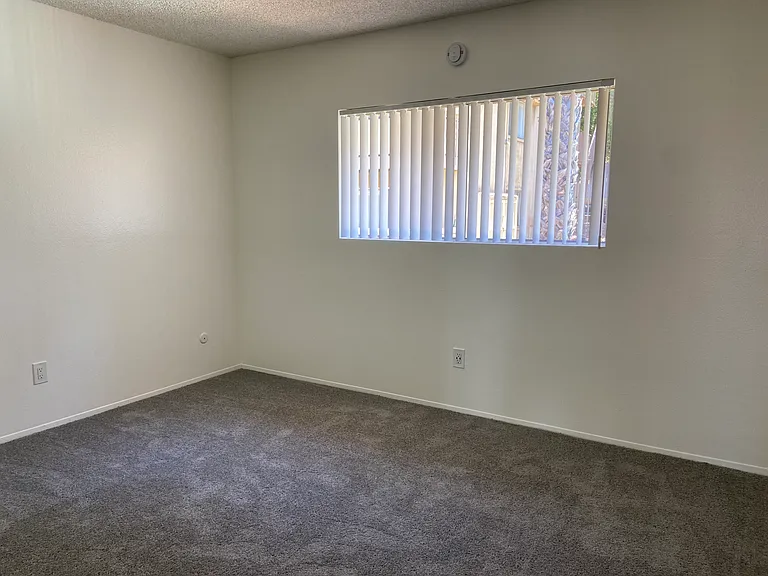 8557 Lemon Ave #3 — Photo 11