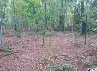 Robert Rd LOT 14, Lake City, SC 29560