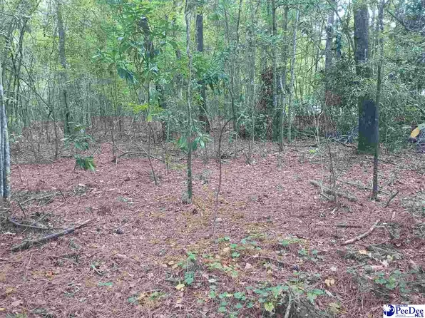 Robert Rd Lot 14, Lake City, SC 29560