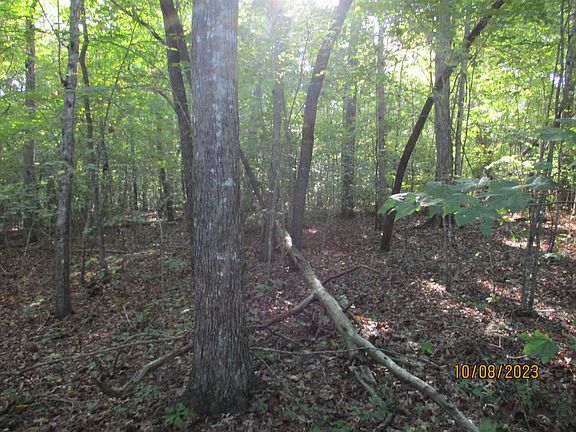 3rd image of 0 North St #14
