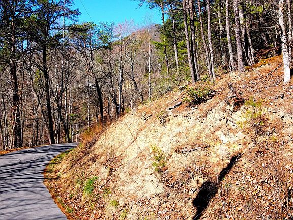 5th image of 4 Walden Ridge Rd