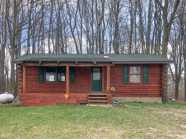 10481 S Brown Rd, Fenwick, MI 48834