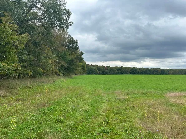 0-V/L Jeffery Rd, Jonesville, MI 49250