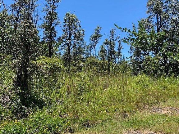 3rd image of Kaloli Drive & 3rd Ave Lot 2727