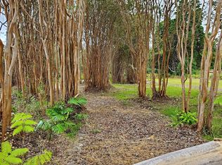 18-1993 Hapuu Nani Rd, Road, HI 96771