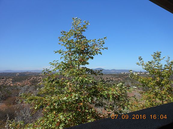 2nd image of 11165 Taloncrest Way Unit 51
