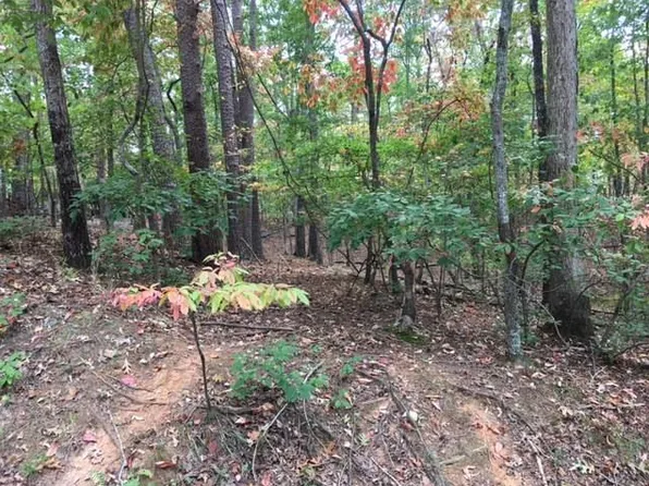 110 Lakeview Cir, Waleska, GA 30183