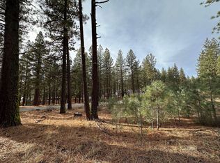 5667 Grizzly Rd, Portola, CA 96122