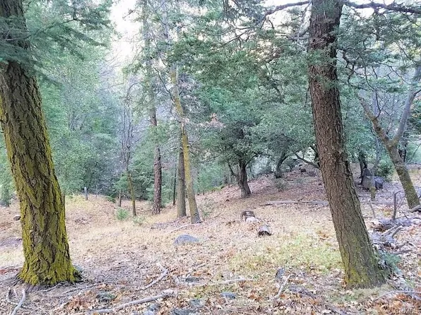 0 Fir St, Cedarpines Park, CA 92322