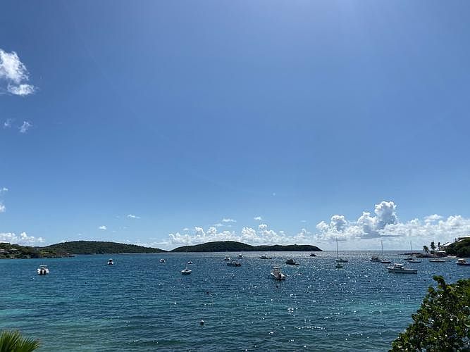 view