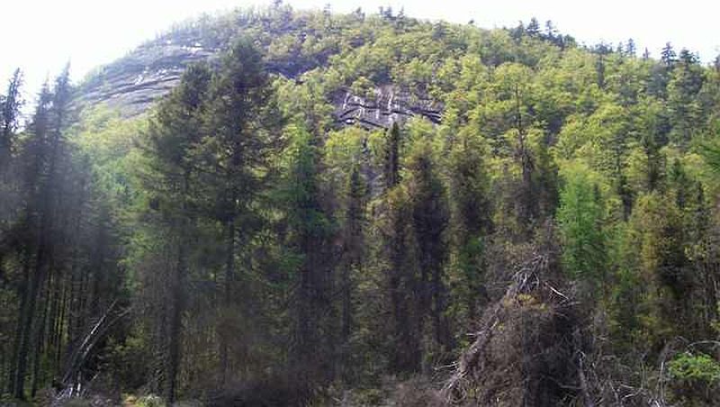 2nd image of 0 ROUTE 28
