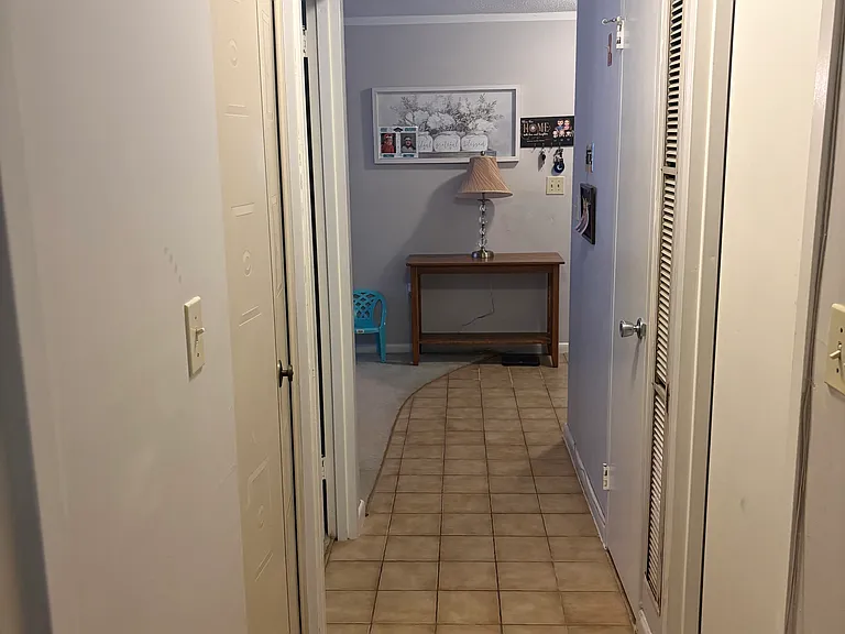 1002 Paradise Rd #1C — Photo 21