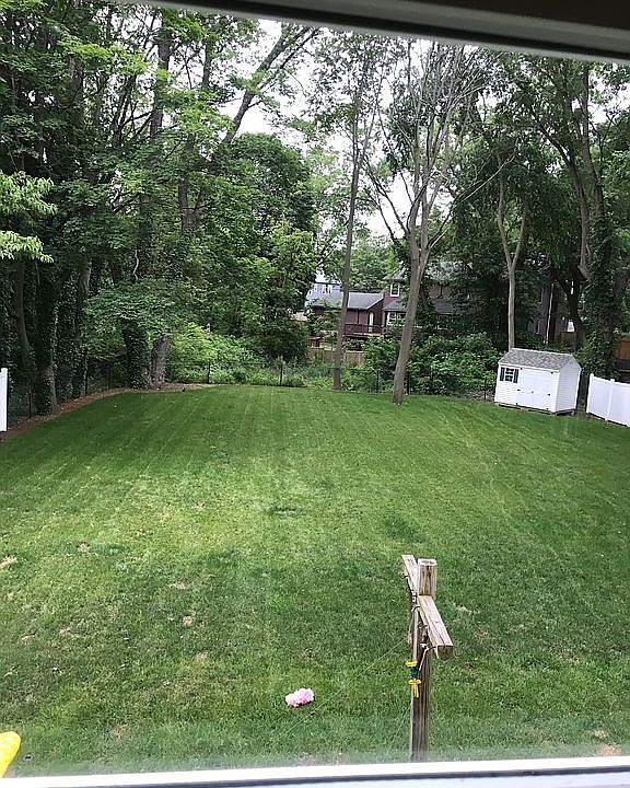 View from kitchen window 