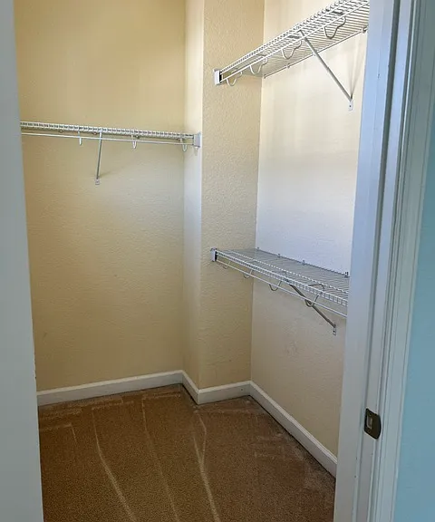 3122 Barred Owl Ln — Photo 13