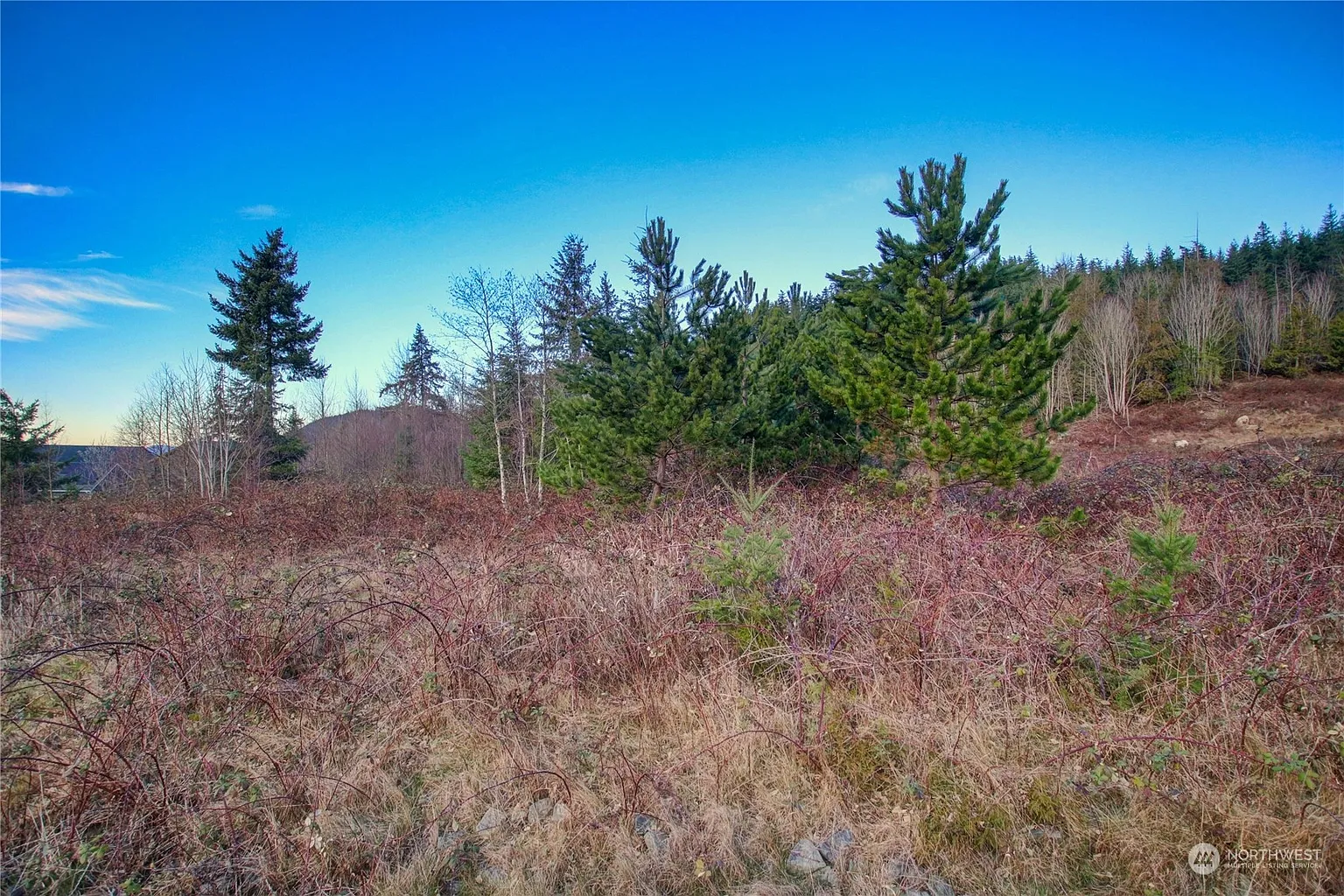 0 Benson Ridge Lane photo 1