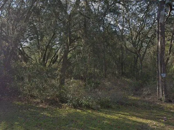 7129 Ricker Ave Lot 54, Webster, FL 33597