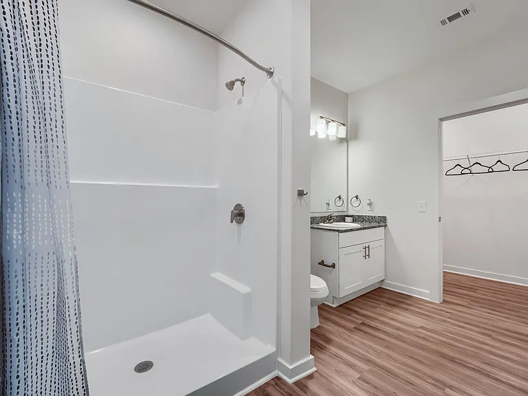 Walk in shower next to toilet, sink and walk in closet
