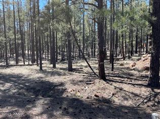 22 North St, Greer, AZ 85927