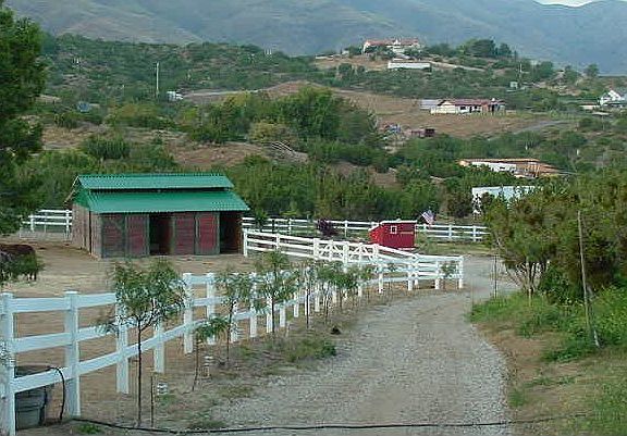 All of the Horse fac. are NEW!