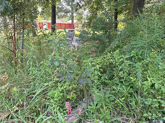 4th image of 325 Woodall Ln