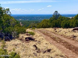 74 County Road 8056 #152, Concho, AZ 85924