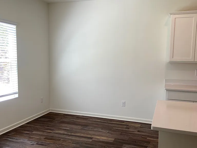 252 Chelsea Park Dr — Photo 9