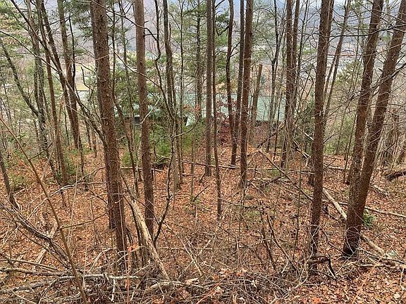 4th image of 1 Greystone Heights Rd