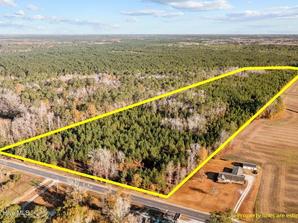 32.02ac Nc 50 Highway, Maple Hill, NC 28454