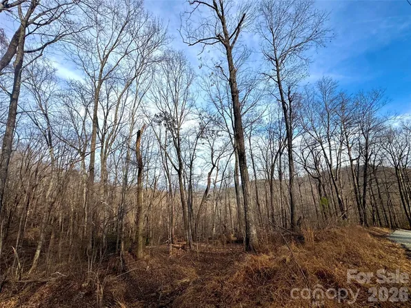 0 Peartree Dr, Lake Lure, NC 28746