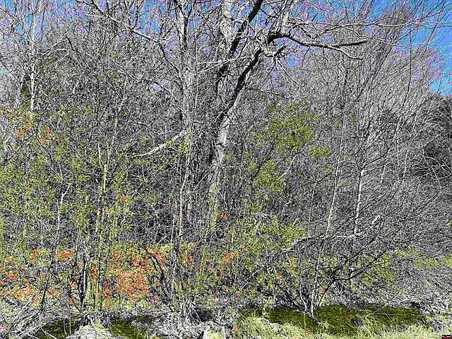 2nd image of 0 Green View Dr