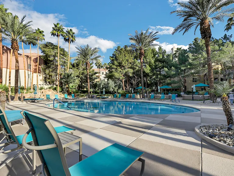 230 E Flamingo Rd #435 — Photo 14