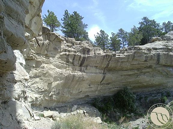 5th image of 10550 Reno Ln