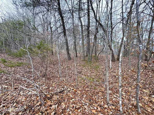 45 Zuni Way Lot Del, Del Rio, TN 37727