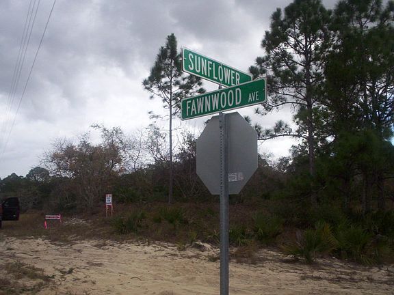 4th image of 131 Sunflower Dr