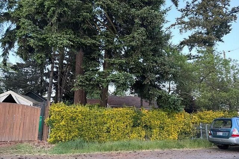 2nd image of 4024 SE 104th Ave