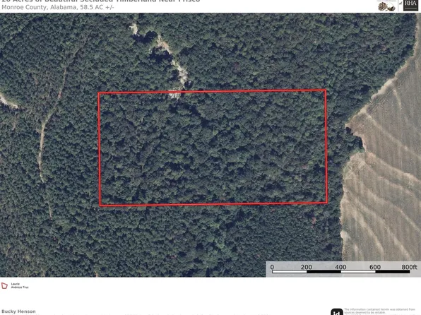 Raymond Rd, Frisco City, AL 36445