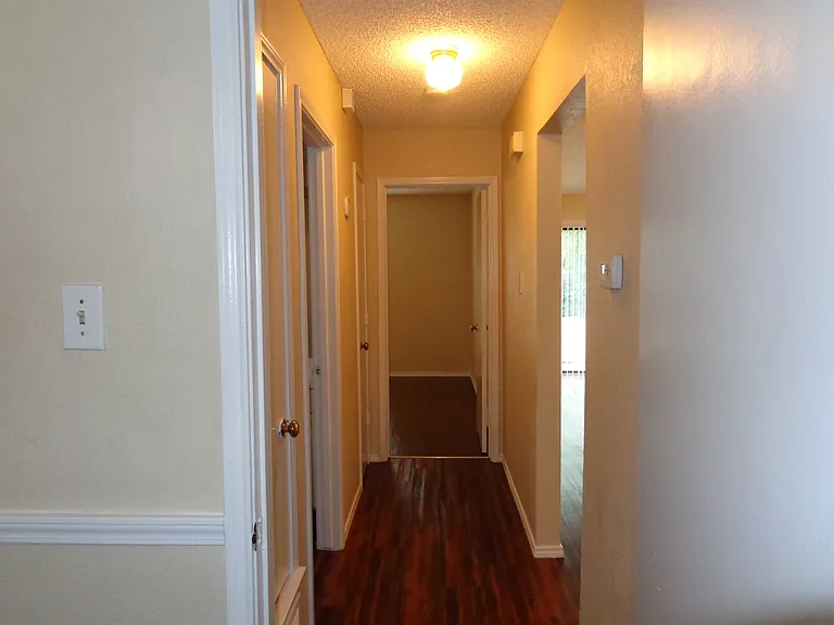 323 Iberis Dr — Photo 13