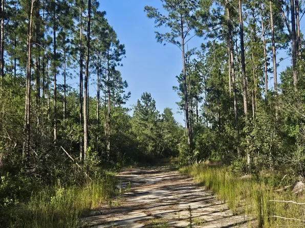 0 Mill Branch Club Rd Lot 1P, Pembroke, GA 31321