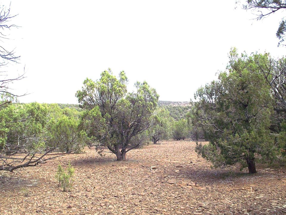 25th image of 13 Westwood Ranch Rd #356