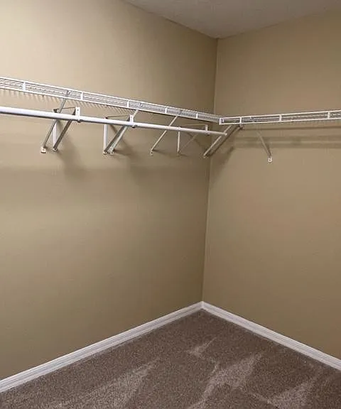 Large walk-in closet for master bedroom